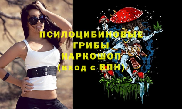 марки lsd Белокуриха