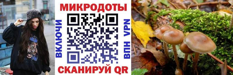 Псилоцибиновые грибы GOLDEN TEACHER  Городище 